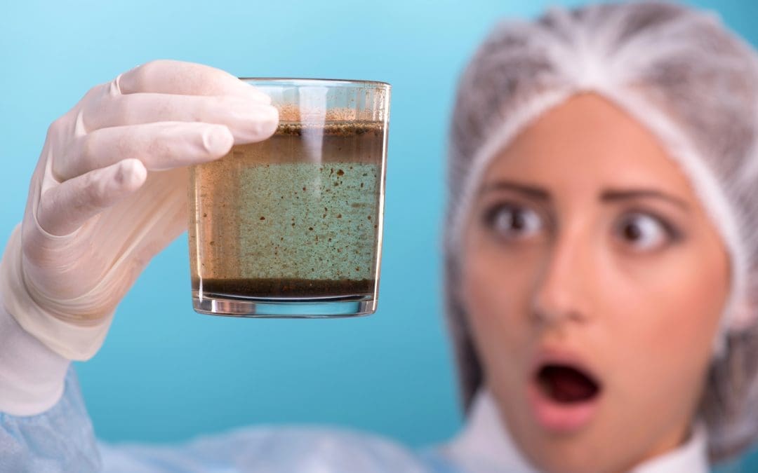 Effects of Iron in Southern Maryland Water: What You Need to Know-Part 2