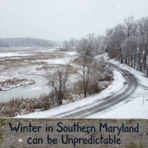 winters in Southern Maryland can be unpredictible